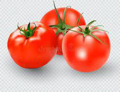 XOLDAA hybrid f1 quality tomato seeds Seed(55 per packet)