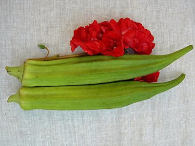 CYBEXIS LX-47 - Seven Lines Bhindi/Lady Finger - (150 Seeds) Seed(150 per packet)