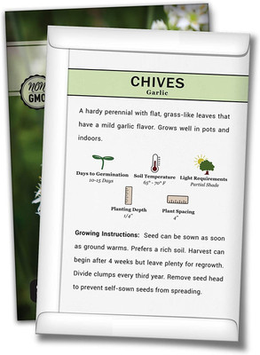 WILLVINE F1 Hybrid Garlic Chives Seeds for Planting Seed(2000 per packet)