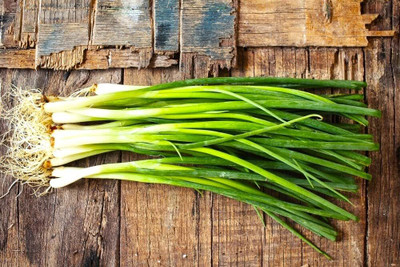 Biosnyg Japanese Bunching Onion Seeds for Home Gardening-(1500 Seeds) Seed(1500 per packet)