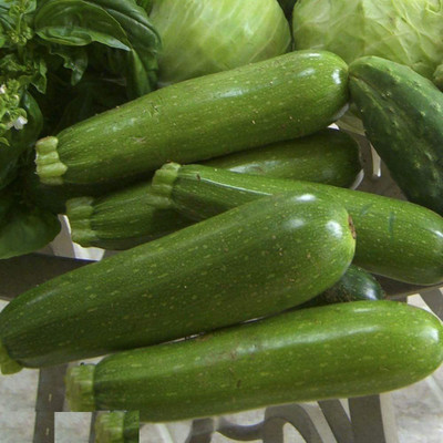 Aywal Good Germination Zucchini Green Hybrid Vegetable Seed(16 per packet)