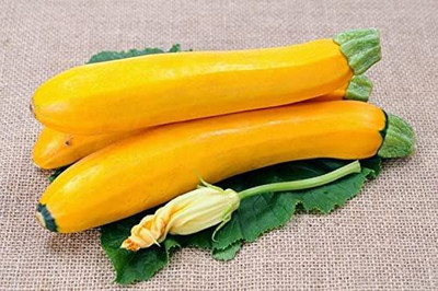 VibeX PAU-11 - Zucchini Yellow - (225 Seeds) Seed(225 per packet)