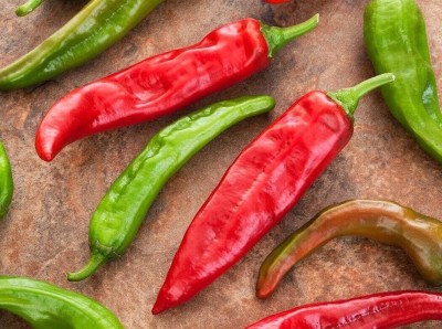 Qualtivate GBPT-1A Sandia (Callophrys) Chilli for Planting Seed(300 per packet)