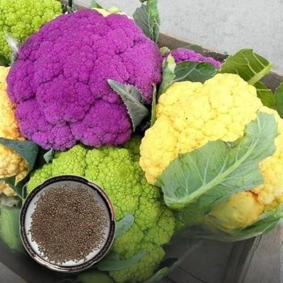 green paradise F1 Hybrid Mix Cauliflower Seeds Pack Seed(1 per packet)