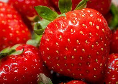 XOLDAA F1 best quality hybrid strawberry Seed(90 per packet)
