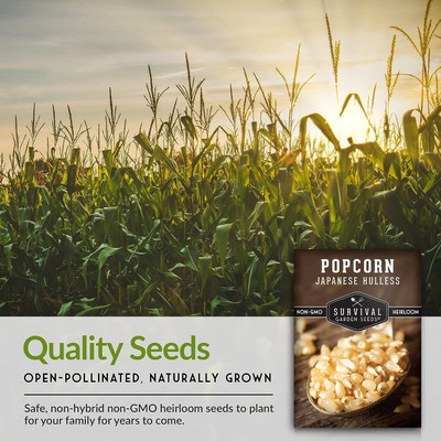 WILLVINE KGF -X Japanese Hulless Popcorn Seed-[100g] Seed(400 per packet)