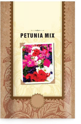 CYBEXIS “Petunia Mixed Flower Seeds” Seed(1 g)