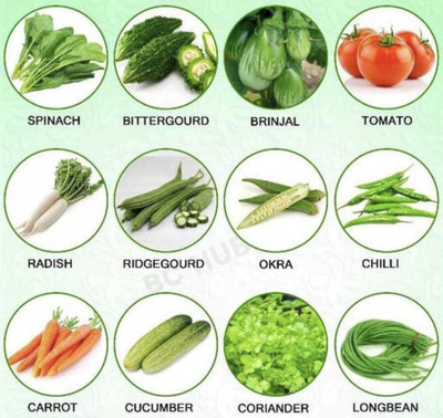 Plantzone all mixed vegetable seeds Seed(100 per packet)