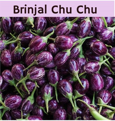 VibeX VXI-19 - Disease Resistant Brinjal Chu Chu - (150 Seeds) Seed(150 per packet)