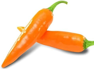 KNESSiN High Yield Bulgarian Carrot Pepper Seeds For Kitchen Gardening-(2400 Seeds) Seed(2400 per packet)