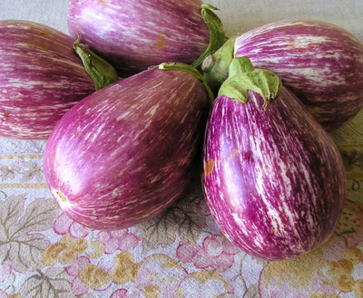 KNESSiN Rosa Bianca Brinjal Seeds-[1gm] Seed(250 per packet)