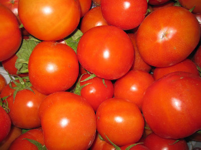KNESSiN XIV-6 H.T.M.185 Tomato Seed(200 per packet)