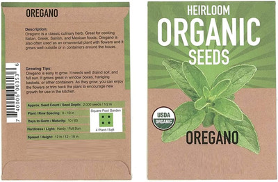 VibeX ® RXI-93 Oregano Common Italian Seeds Seed(200 per packet)