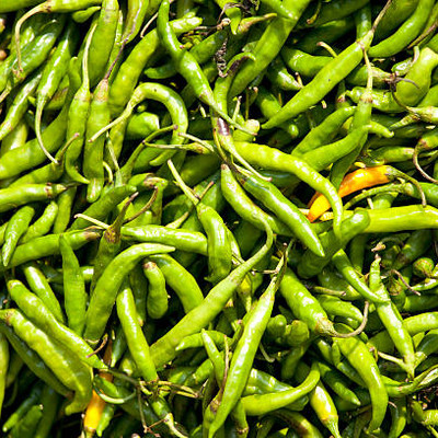 granthi Green Chilli Premium Grade Seed(200 per packet)