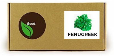 CYBEXIS Fenugreek/Metha2800 Seeds Seed(2800 per packet)
