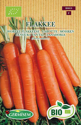 CYBEXIS Organic Flakkee Carrot Seeds2000 Seeds Seed(2000 per packet)