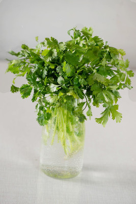 ZIXA Coriander Seed(250 per packet)