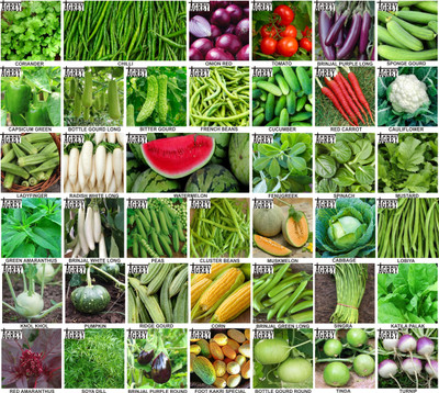Agrey combo of 40 variety vegetable seeds with instruction manual. Seed(40 per packet)
