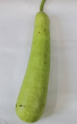 Quentova Bottle Gourd Seeds-VDI Seed(50 per packet)