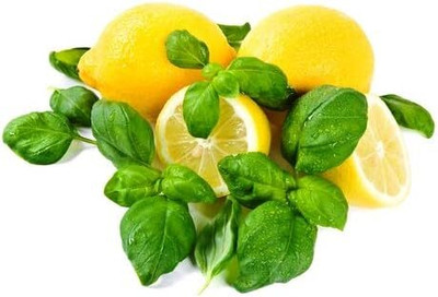 Qualtivate PAU-24 Heirloom Lemon Basil Seeds Seed(1000 per packet)