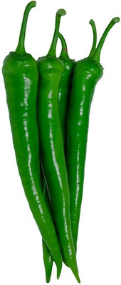 granthi High Quality Green Chilli हरी मिर्च Seed(2000 per packet)
