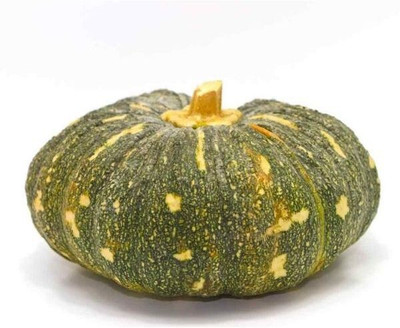 Farmonix Pumpkin – Vegetable Seeds Seed(100 per packet)