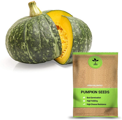 Qualtivate VVI-232 Open Pollinated Pumpkin Seeds Seed(50 per packet)