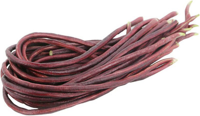 CYBEXIS Red Long Bean Seeds-100 Seeds Seed(100 per packet)