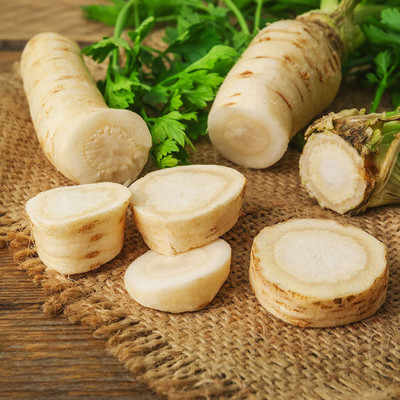 CYBEXIS PUAS-94 - Parsley - Hamburg Rooted - (2250 Seeds) Seed(2250 per packet)