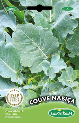 CYBEXIS Couve Nabiça Cabbage Seeds 1000 Seeds Seed(1000 per packet)