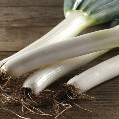 KNESSiN Green Onions Seed(200 per packet)