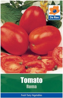 KNESSiN VXI-51 Tomato Roma Seed(200 per packet)