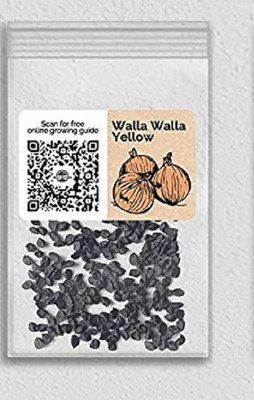 CYBEXIS LX-98 - Walla Walla Yellow Onion - (1500 Seeds) Seed(1500 per packet)