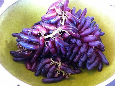 Aywal Angur Seed(80 per packet)