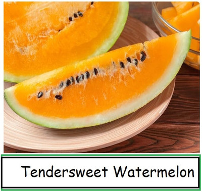 KNESSiN Non GMO Orange Tendersweet Watermelon Fruit Seeds for Garden-(100 Seeds) Seed(100 per packet)