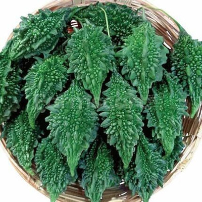 LPR KARELA ,BITTAR GOURD Seed(100 per packet)