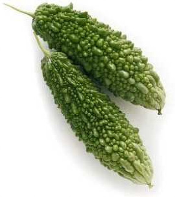 XOLDAA F1 BEST QUALITY BITTER GOURD SEEDS Seed(10 per packet)