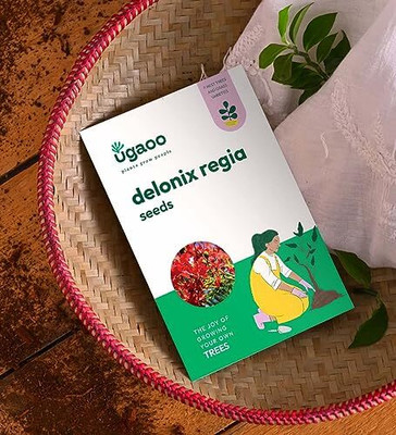 UGAOO Delonix Regia Seeds (Flamboyant Tree) - 100 g Seed(10 g)