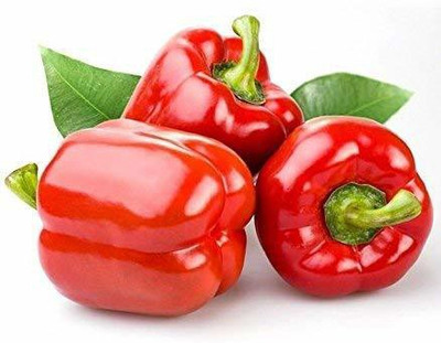 CYBEXIS GUA-49 - Red Wonder Capsicum/bellpepper - (1350 Seeds) Seed(1350 per packet)