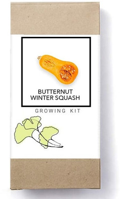 Biosnyg Butternut Winter Squash-[50 Seeds] Seed(50 per packet)