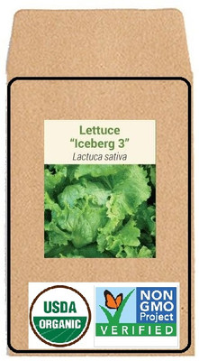 CYBEXIS Hybrid Seeds-Lettuce Iceberg1000 Seeds Seed(1000 per packet)