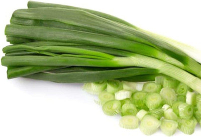 VibeX ® VLR-560 Scallions Evergreen White Bunching Onion Seed(1000 per packet)
