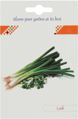 JVK ™ Dwarf Chinese Spring Onion Seeds-100 Seed Seed(100 per packet)