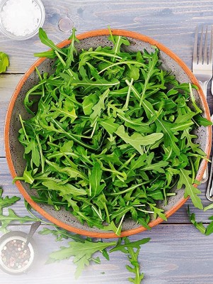 CYBEXIS XL-80 - Arugula - Rocket Salat (Roquette) - (2250 Seeds) Seed(2250 per packet)