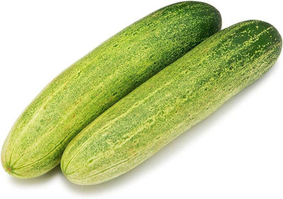 BDSresolve Cucumber seeds hybrid PACK OF 46 Seed(46 per packet)