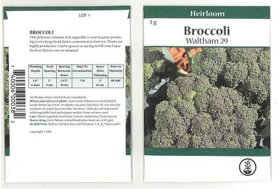 Biosnyg Broccoli Seeds - Waltham 29-[1000 Seeds] Seed(1000 per packet)