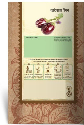 CYBEXIS LX-98 - Brinjal Kateri Vegetable - (150 Seeds) Seed(150 per packet)
