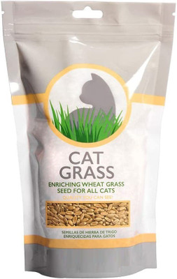 VibeX VVI-72 - Hard Red Winter Wheat - (7500 Seeds) Seed(7500 per packet)