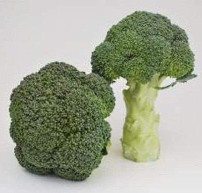 VibeX VXI-36 - Winter Broccoli - (150 Seeds) Seed(150 per packet)