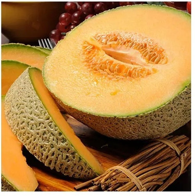Quentova Musk Melon/ Cantaloupe/ Hami melon-ICRA-7W Seed(150 per packet)
